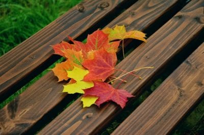 Are You Changing By The Seasons Or By The Day?